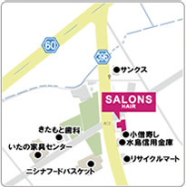 SALONSq~mX}bv